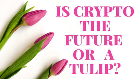 Is Crypto the Future or A Tulip?